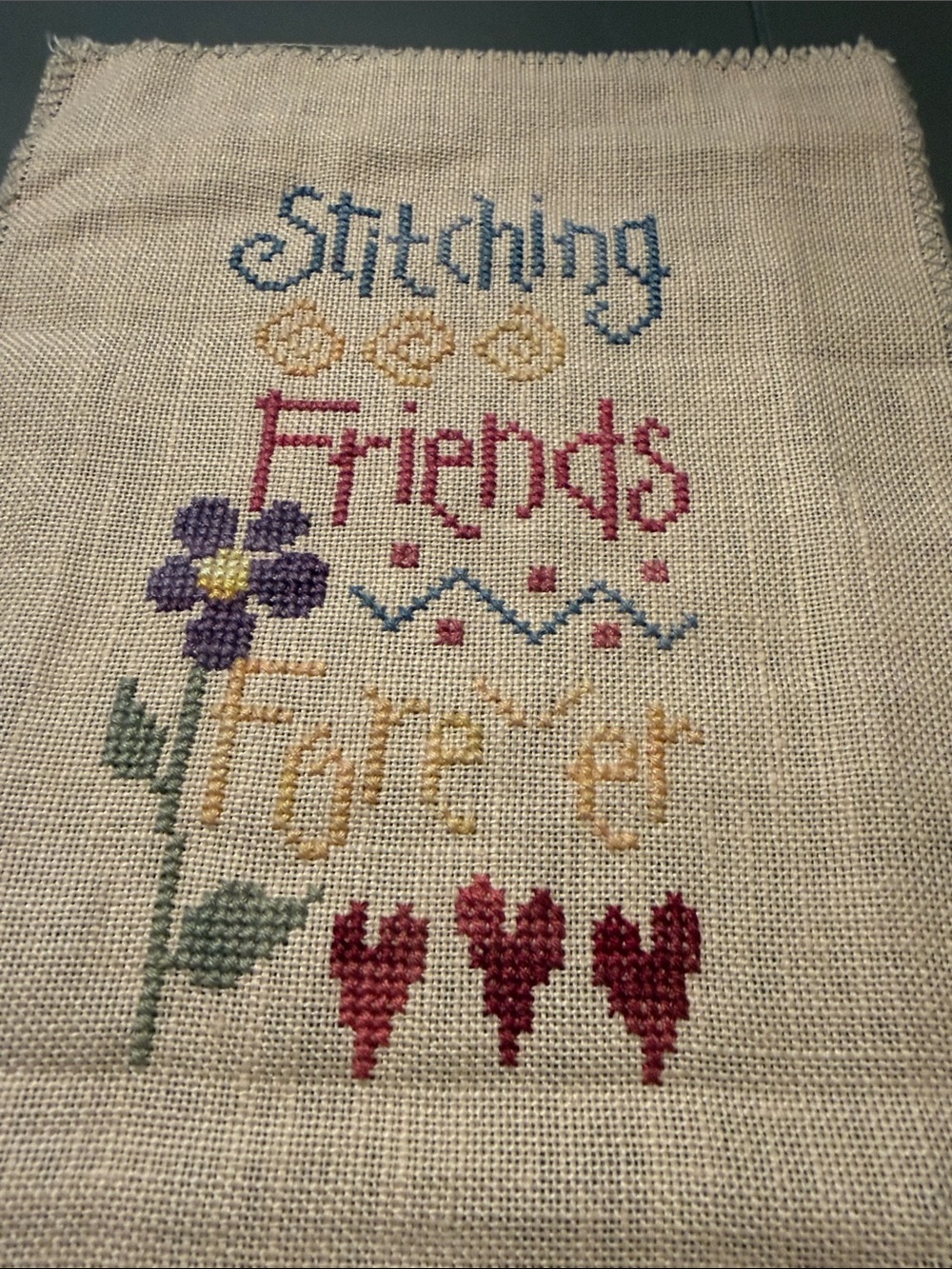 This is a finished Lizzie Kate cross-stitch"Stitching Friends Forever"🐈‍⬛